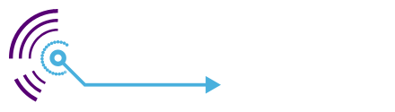 CSES Logo