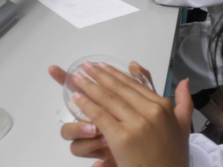 Student providing sample for bacteria experiment in SuperLab.